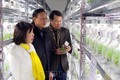 Thứ trưởng Bộ Nông nghiệp và Phát triển nông thôn Hà Công Tuấn thăm khu nuôi cấy mô thuộc Viện nghiên cứu và Phát triển lâm nghiệp - Đại học Nông lâm Thái Nguyên. Ảnh: Trần Trang - TTXVN