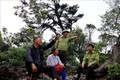 Người Mông ở Hòa Bình giữ rừng nguyên sinh để phát triển du lịch bền vững