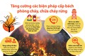 Tiền Giang tăng cường các biện pháp phòng cháy, chữa cháy trong mùa khô