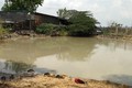 Hai cháu nhỏ tử vong do đuối nước khi tắm ao ở Điện Biên 