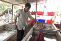 Anh Châu Văn Hồng, ấp Cầu Dừa (xã Mỹ Phước Tây, thị xã Cai Lậy, tỉnh Tiền Giang) kiểm tra các bể xi măng nuôi lươn không bùn của gia đình. Nguồn: danviet.vn
