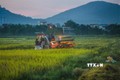 Thu hoạch lúa vụ xuân 2021 tại xã Nhuận Trạch - Huyện Lương Sơn. Ảnh: Trọng Đạt-TTXVN
