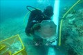 Đồ gốm sứ được phát hiện trên xác con tàu đắm ngoài khơi Pedra Branca, Singapore, ngày 16/6/2021. Ảnh: AFP/ TTXVN