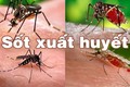 Khuyến cáo người dân Đắk Lắk chủ động phòng, chống sốt xuất huyết