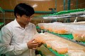 Anh Nguyễn Văn Tuấn làm giàu từ mô hình sản xuất nấm Đông trùng hạ thảo quy mô công nghiệp
