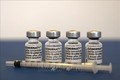Vaccine ngừa COVID-19 của Pfizer/BioNTech. Ảnh: AFP/TTXVN