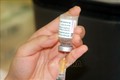 Chính phủ Anh và Chính phủ Séc viện trợ vaccine phòng COVID-19 cho Việt Nam