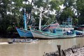 Tàu cá neo đậu khu vực vùng biển Rạch Giá (Kiên Giang). Ảnh: Lê Huy Hải - TTXVN