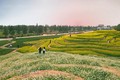 Du lịch nông nghiệp, lợi ích kép của Hà Nội