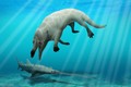 Hình ảnh minh họa về loài cá voi lưỡng cư Phiomicetus Anubis sống cách đây hơn 43 triệu năm. Ảnh: livescience.com