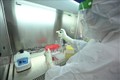 Phòng tách mẫu xét nghiệm COVID-19 tại bệnh viện Đa khoa khu vực Nghĩa Lộ (Yên Bái). Ảnh: Minh Quyết – TTXVN