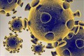 WHO giải thích cơ chế tiến hóa của virus SARS-CoV-2