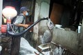 Bình Thuận ngăn chặn nguy cơ lan rộng dịch tả lợn châu Phi