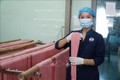 Doanh nhân Đặng Thị Tâm đưa thương hiệu mì rau củ Organic vươn xa