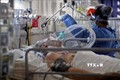Điều trị cho bệnh nhân nhiễm COVID-19 tại bệnh viện ở Cordoba, Argentina. Ảnh: AFP/TTXVN