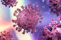Hình ảnh mô phỏng virus SARS-CoV-2 gây bệnh COVID-19. Ảnh: MedPage Today/TTXVN
