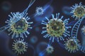 Thực khuẩn thể - Vũ khí giúp chống lại vi khuẩn kháng thuốc 