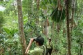 Đắk Lắk tăng cường công tác quản lý, bảo vệ và phát triển rừng