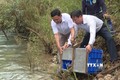 135 cá thể động vật hoang dã được thả về môi trường tự nhiên ở Quảng Bình