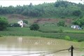 Tuyên Quang: Hơn 540 ha cây trồng bị ảnh hưởng do mưa lớn trên diện rộng