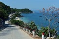 Quảng Nam: Xã đảo Tân Hiệp nhận danh hiệu “nông thôn mới nâng cao”
