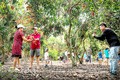 Dịch vụ du lịch vườn ở Long Khánh với lượng đông khách đến tham quan thưởng thức các loại trái cây đặc sản tại vườn. Nguồn: baodongnai.com.vn