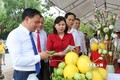Các đại biểu tham quan gian hàng trưng bày các sản phẩm OCOP 2022 tỉnh Bắc Ninh. Ảnh: Đinh Văn Nhiều-TTXVN