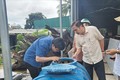 Đoàn công tác của Bộ Y tế kiểm tra về công tác phòng, chống sốt xuất huyết tại huyện Lắk. Ảnh: Tuấn Anh - TTXVN
