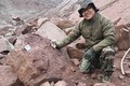 Trung Quốc phát hiện 8 tấn hóa thạch khủng long trưởng thành ở Cám Châu