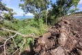 Khởi tố vụ án “Hủy hoại rừng" tại huyện Chư Sê