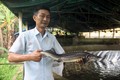 Ông Hà Khắc Sâm - "vua" cá tầm, cá hồi trên đỉnh Pù Rinh. Ảnh: nongnghiep.vn