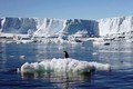 Các vùng nước ấm đe dọa môi trường tại Nam Cực