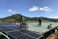 Một trang trại có đầu tư điện mặt trời mái nhà tại huyện Buôn Đôn lắp pin trước khi trồng cây. Nguồn: baodaklak.vn