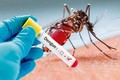 Gia Lai chủ động ứng phó với sốt xuất huyết Dengue