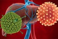 Gia tăng ca nhiễm Adenovirus: dấu hiệu nhận biết và cách phòng bệnh