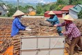 Quế Lào Cai đối mặt với thách thức để phát triển bền vững