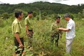 Kon Tum hướng tới quản lý, bảo vệ và phát triển rừng bền vững