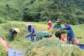 Người dân xã Pa Vệ Sủ, huyện Mường Tè, đẩy mạnh cơ giới hóa máy nông nghiệp trong sản xuất. Ảnh: Việt Hoàng-TTXVN
