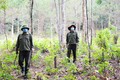 Gia Lai kiến nghị điều chỉnh chế độ đãi ngộ, cải thiện môi trường làm việc cho lực lượng bảo vệ rừng