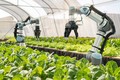 Ứng dụng khoa học, công nghệ, hướng tới nền nông nghiệp bền vững