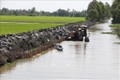 Xâm nhập mặn ở Đồng bằng sông Cửu Long tiếp tục tăng