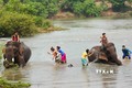Chương trình “Té nước cùng voi” trong khuôn khổ các hoạt động của Lễ hội Bunpimay - Vui tết Lào năm 2023 tại tỉnh Đắk Lắk. Ảnh: Hoài Thu – TTXVN.