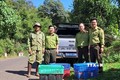 Lực lượng cứu hộ động vật thả thú hoang về Vườn Quốc gia Bù Gia Mập. Ảnh: TTXVN phát