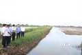 Phó Thủ tướng Chính phủ Trần Lưu Quang tham quan mô hình tôm - lúa của hộ dân tại ấp 18, xã Phong Thạnh A, thị xã Giá Rai (tỉnh Bạc Liêu). Ảnh: Chanh Đa-TTXVN