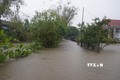 Quảng Trị: Lũ sông Ô Lâu lên gần báo động 3, hơn 900 nhà dân bị ngập