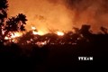 Kịp thời dập tắt vụ cháy rừng tại xã Ngọc Chấn, Yên Bái