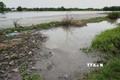 Người dân bức xúc vì nước thải xả thẳng vào con rạch đổ ra sông Vàm Cỏ Đông, gây ô nhiễm môi trường