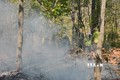 Phòng, chống cháy rừng trong mùa khô tại Đắk Lắk