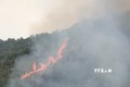 Khẩn trương dập tắt đám cháy rừng tại Nậm Nhùn (Lai Châu)