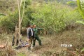 “Trụ cột” trong công tác tuyên truyền phát triển kinh tế, an ninh vùng biên tỉnh Nghệ An